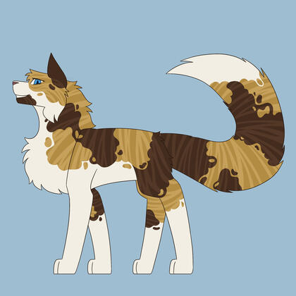 Single Full Single Full