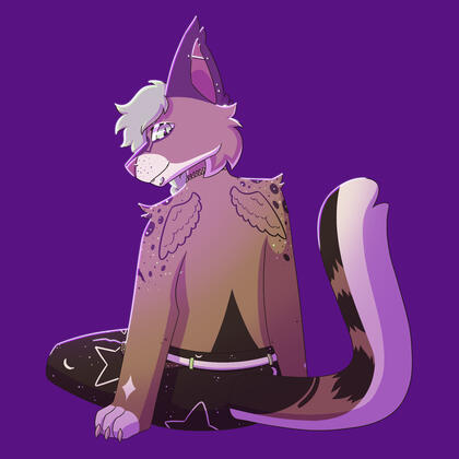 Shaded Single Shaded Single