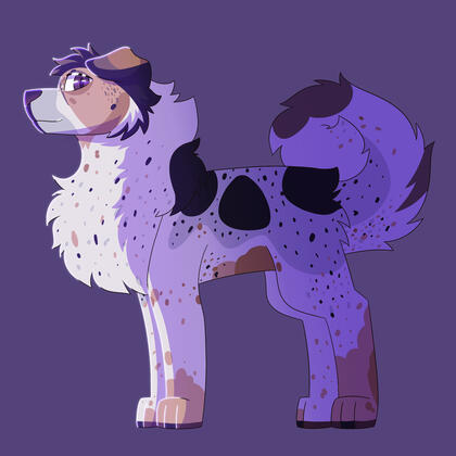 Shaded Single Shaded Single