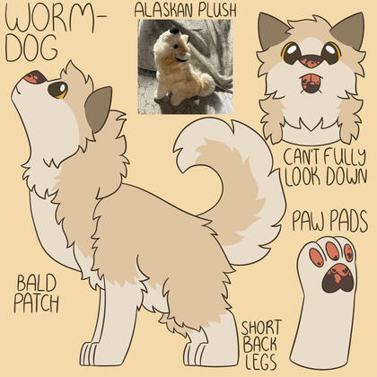 Worm-Dog Worm-Dog